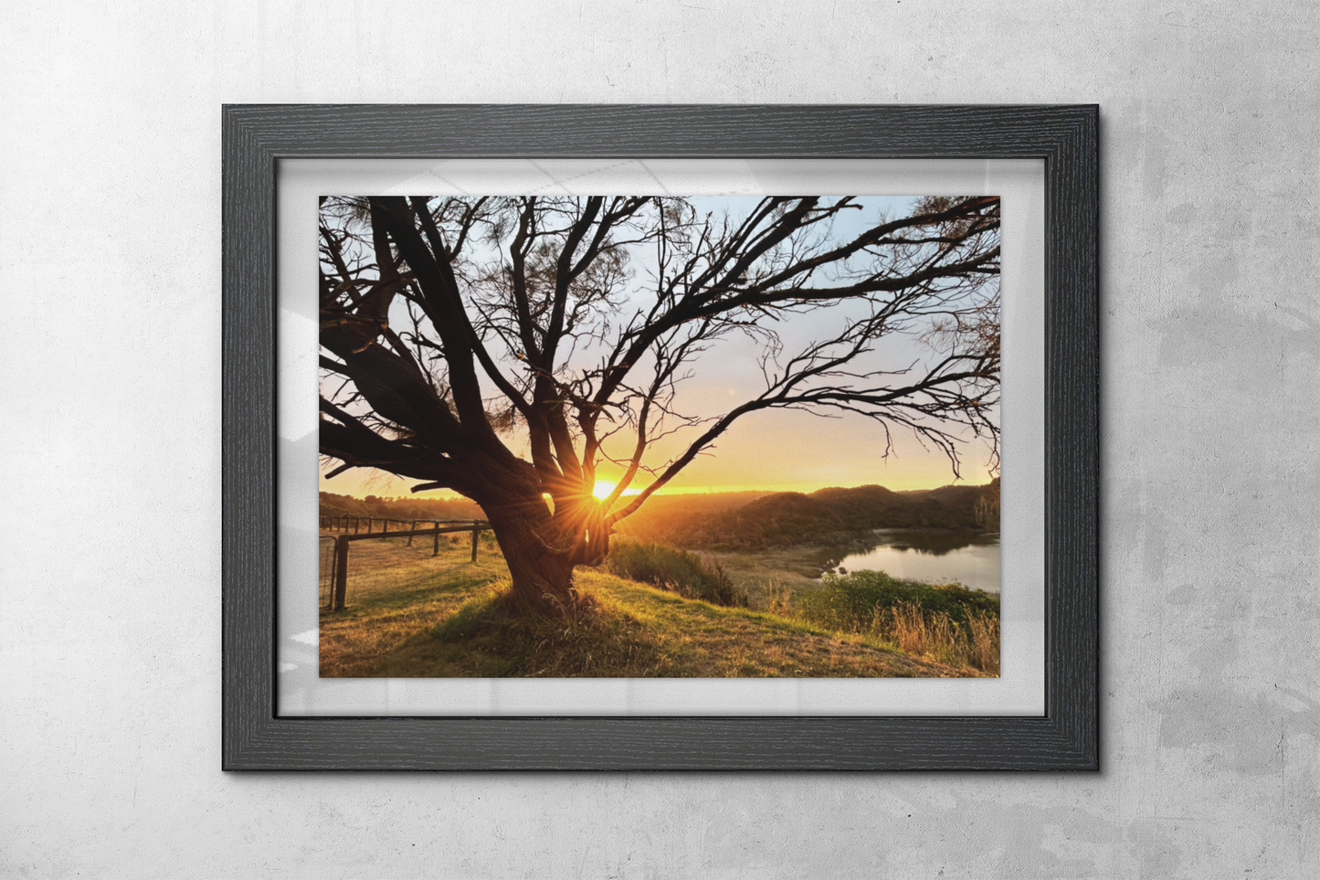 TOWER HILL Wall Art - Morning Glow