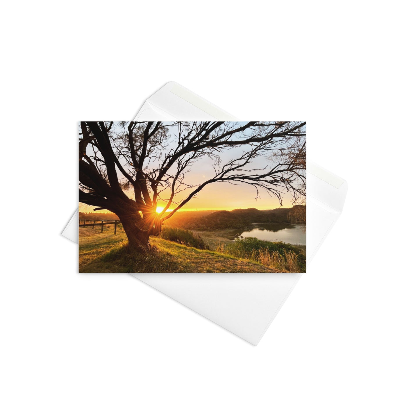 TOWER HILL Morning Glow - Greeting Card