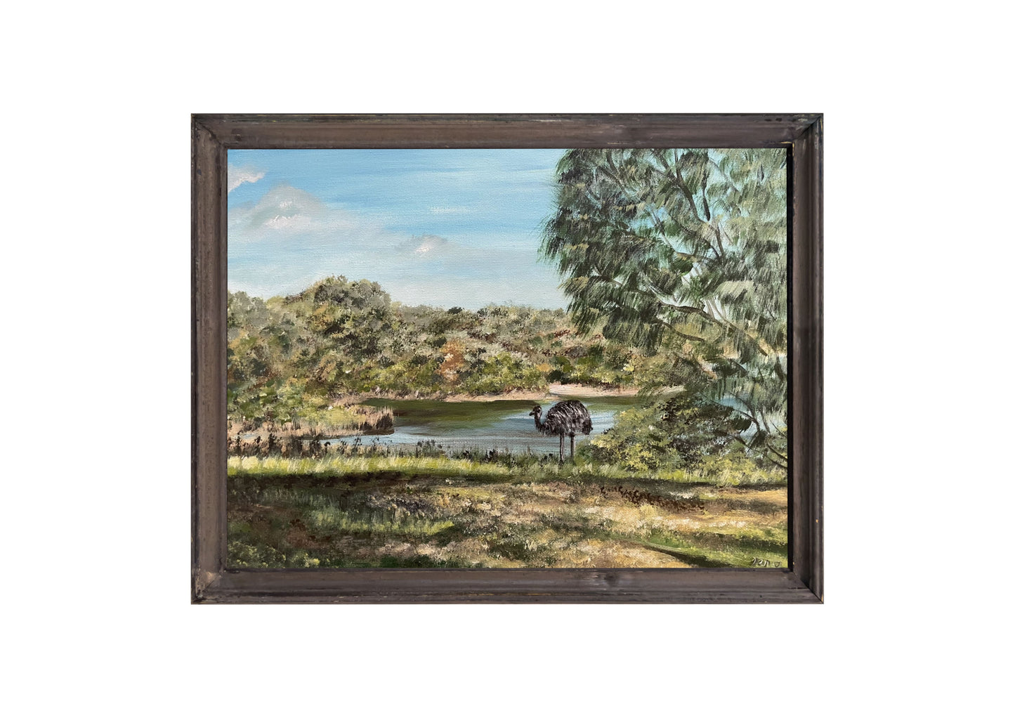 TOWER HILL Wall Art - Emu Encounter